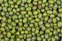 Picture of MOONG GREEN 250gm