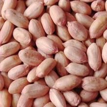 Picture of RAW PEANUT 250gm