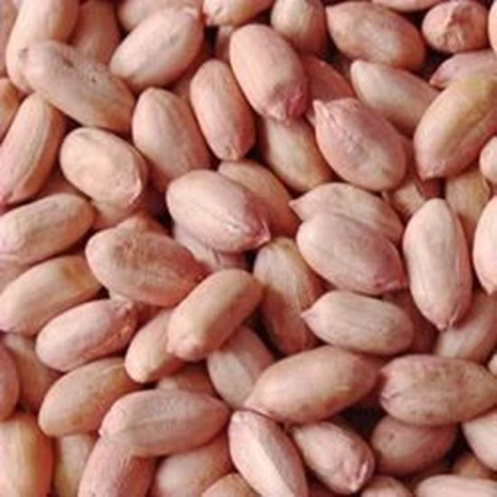 Picture of RAW PEANUT