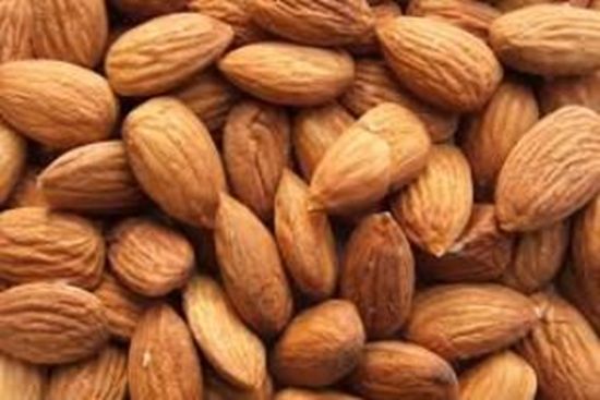 Picture of ALMOND