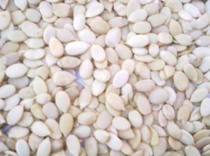 Picture of WATER MALLEON SEED 100gm