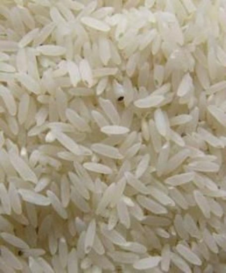 Picture of DOSE RICE